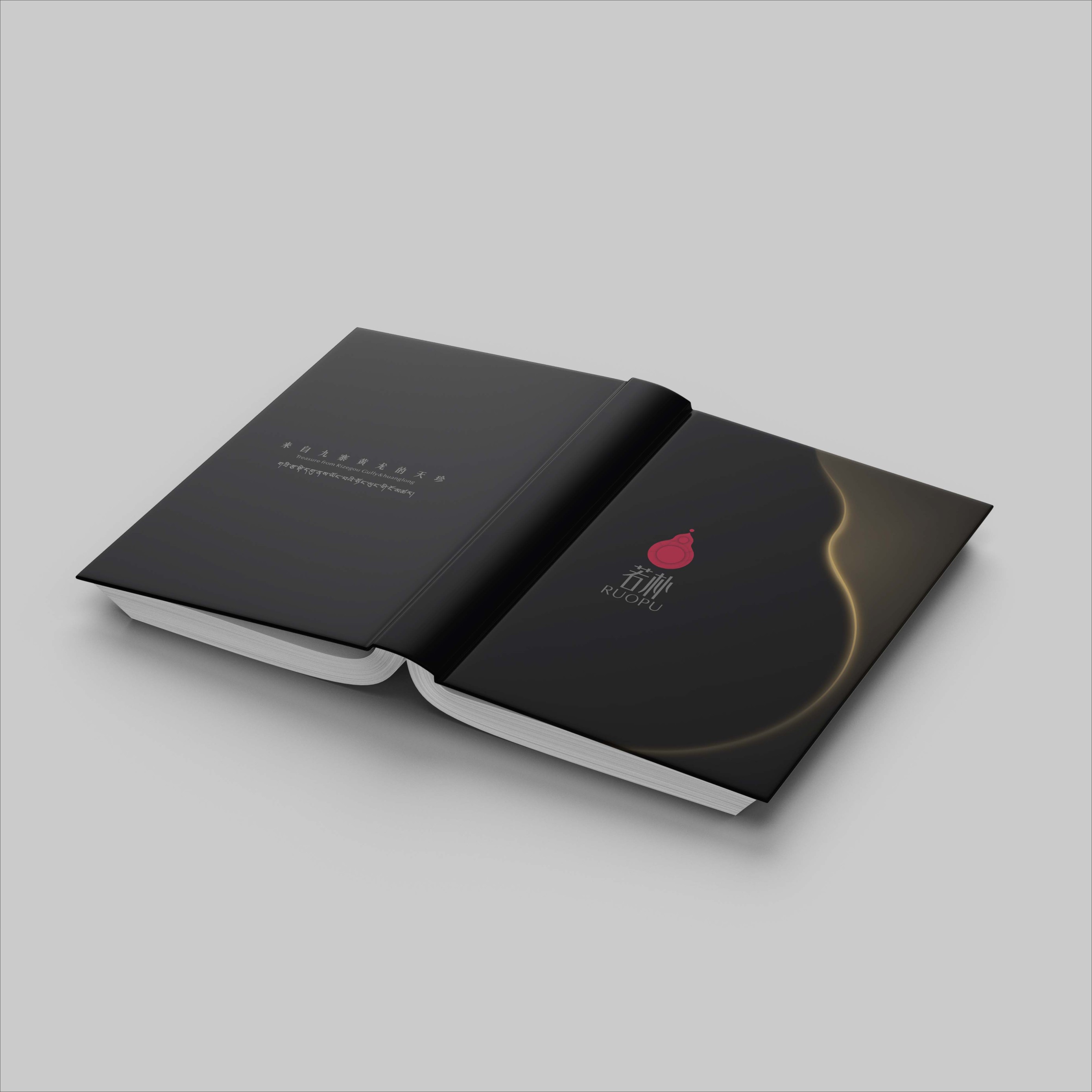 若樸電子畫冊設(shè)計